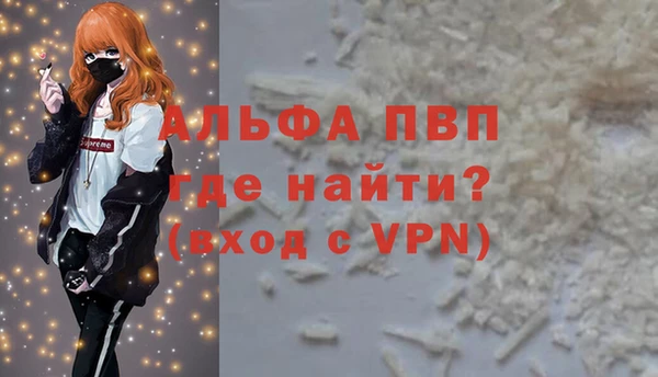 ECSTASY Ельня