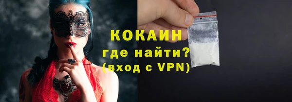 ECSTASY Ельня