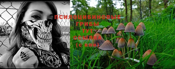 ECSTASY Ельня
