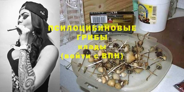 дживик Елизово