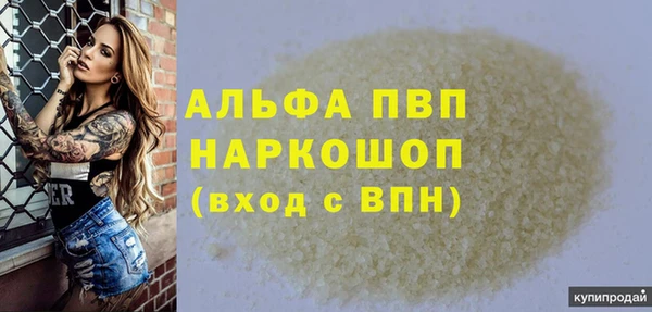ECSTASY Ельня